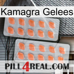 Kamagra Jellies 27